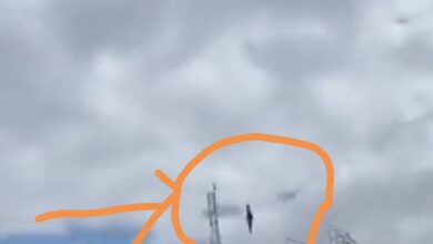 Screenshot ٢٠٢٤٠٣٠٨ ١٦٣١٢٢