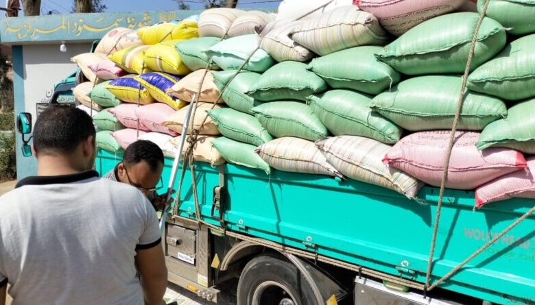 البنك الزراعي. استلام محصول القمح من المزارعين والموردين في 190 موقع على مستوى الجمهورية 1 43d21d78 4c64 49af b22a a75da8460e9a 800x445 1