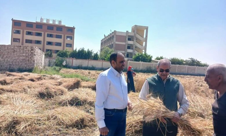 الزراعة" تعلن بدء موسم حصاد وتوريد القمح 1 FB IMG 1713031414844