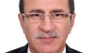 عاصم وجدي رئيس شركة اتصال