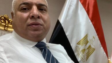 علاء نصر الدين
