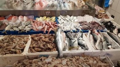 السمك-تمويلي24