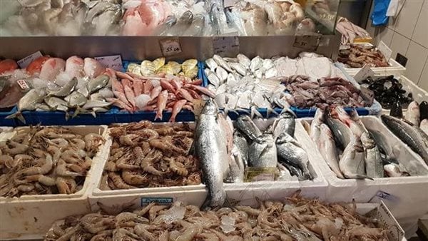 تعرف علي أسعار السمك اليوم الأحد 11 أغسطس 1 السمك-تمويلي24