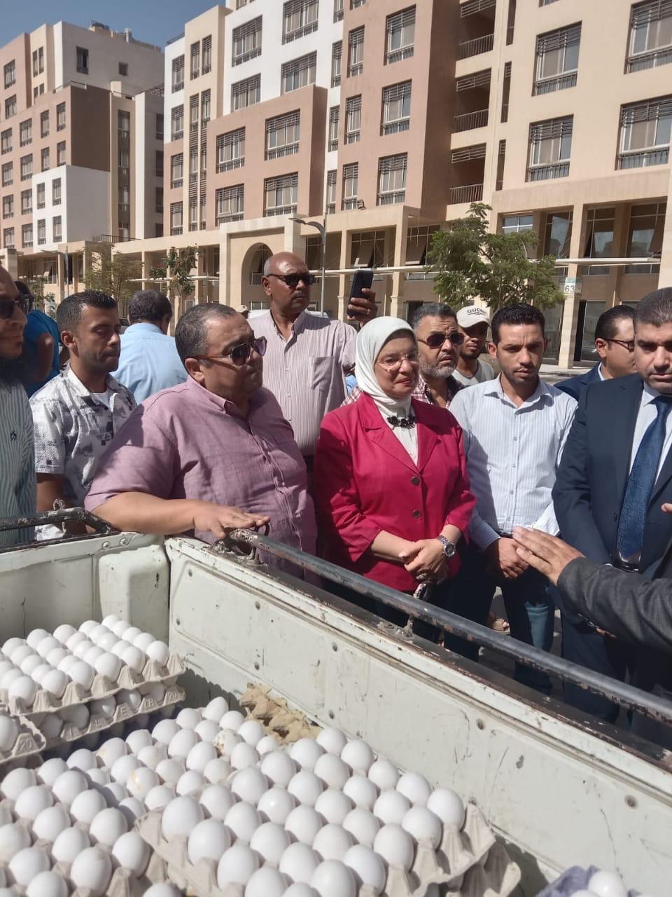 الزراعة تطرح بيض المائدة بسعر 150 جنية للكرتونة بمناسبة العام الدراسي الجديد 2 بيض المائدة وزارة الزراعة