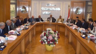 غرفة القاهرة