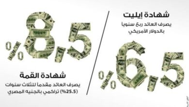 شهادتي ادخار "القمة" و"إيليت" بالدولار الأمريكي