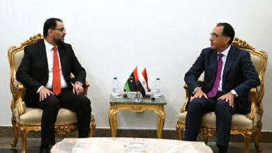 رئيس الوزراء المصري ووزير العمل الليبي